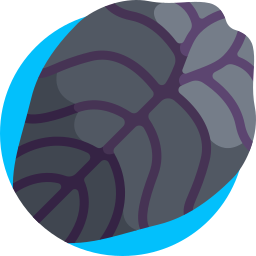 クワズイモ クプレア icon