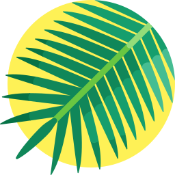 palmier sagoutier Icône