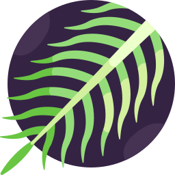 areca-palm icoon