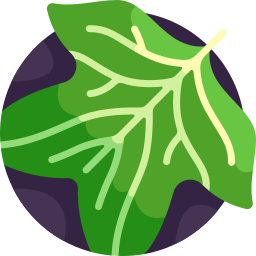 tulpifera icoon