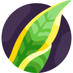 agave Ícone