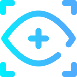 Vision icon