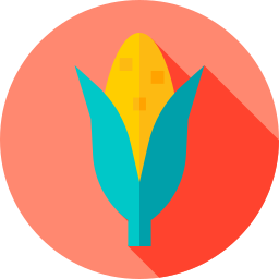 Corn icon