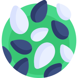 Sesame seeds icon