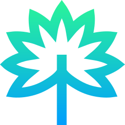 Tropical leaves icon