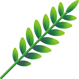 Tropical leaves icon