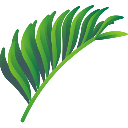 Tropical leaves icon