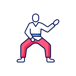 taekwondo icono