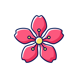 Cherry blossom icon