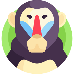 Baboon icon