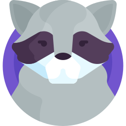 Raccoon icon