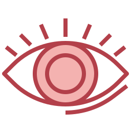 Eye icon