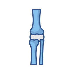 무릎 관절 icon