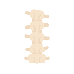 spinal Icône
