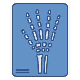 X-ray icon