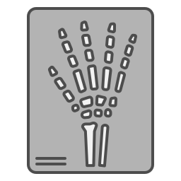 X-ray icon