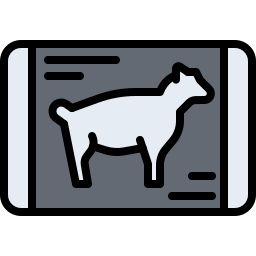 schapenvlees icoon