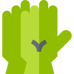 Gloves icon