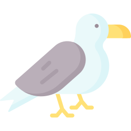 möwe icon