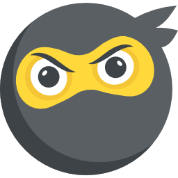 ninja icon