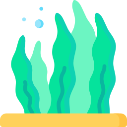 Seaweed icon