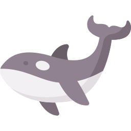 Killer whale icon