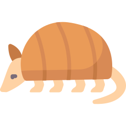 Armadillo icon