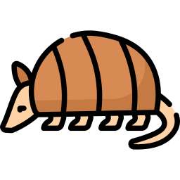 armadillo icona