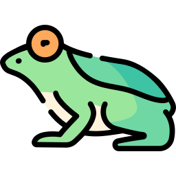 Frog icon