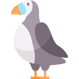 Puffin icon