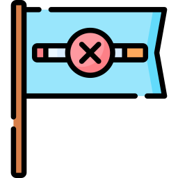 Flag icon