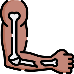 fracture Icône