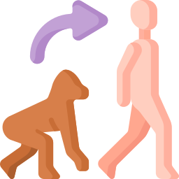 evolución humana icono