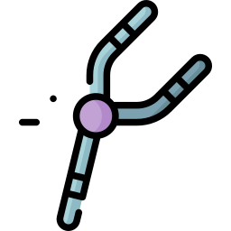 chromosome Icône