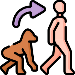 Human evolution icon
