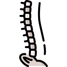 Вертикальная спина иконка