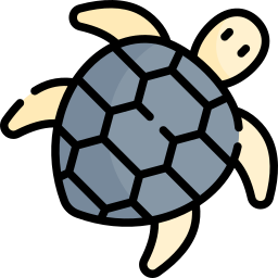 Żółw szylkretowy ikona