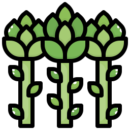 Asparagus icon