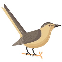 Catbird icon