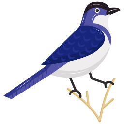 Magpie icon