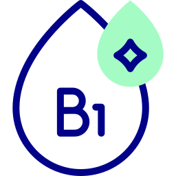 b1 icon