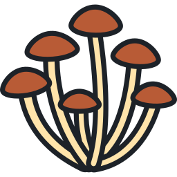 funghi icona