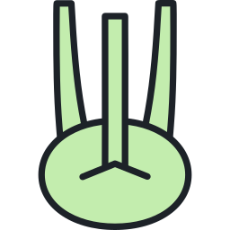 Kohlrabi icon