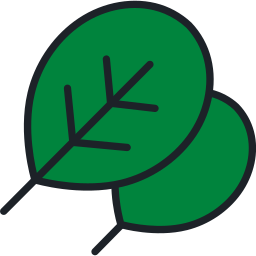 Spinach icon