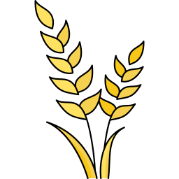 Wheat icon