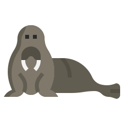 walrus icoon