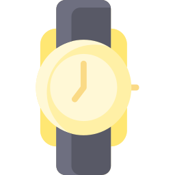 Wristwatch icon