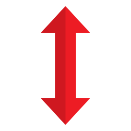 Direction icon