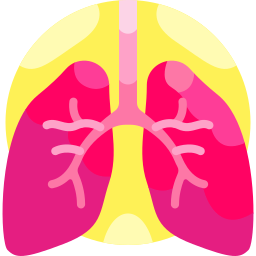 pulmones icono