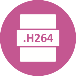 h264 icoon